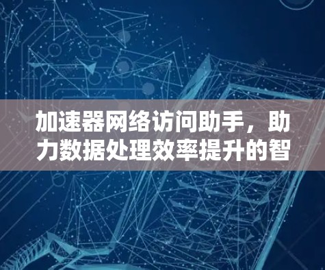 加速器网络访问助手，助力数据处理效率提升的智能解决方案
