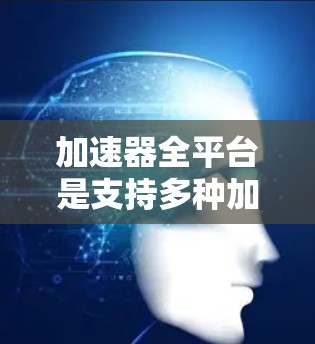 加速器全平台是支持多种加速工具的平台，旨在简化用户在搜索引擎中使用推荐的加速工具。以下是一个详细且易于理解的解释
