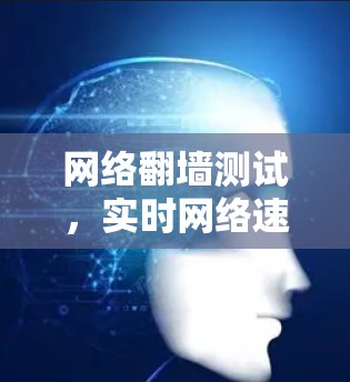 网络翻墙测试，实时网络速度与性能评估