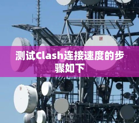 测试Clash连接速度的步骤如下