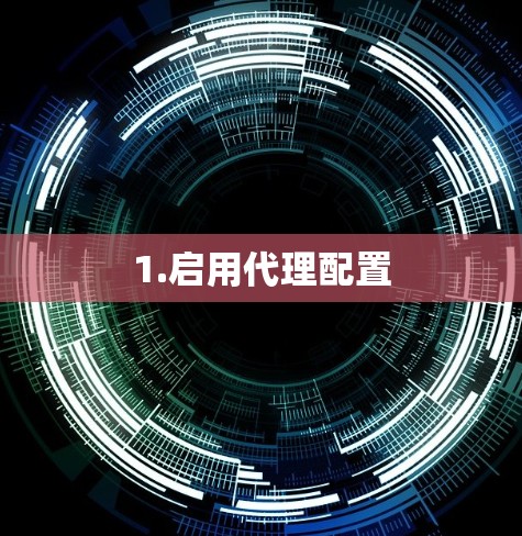 1.启用代理配置