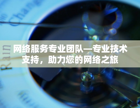 网络服务专业团队—专业技术支持，助力您的网络之旅