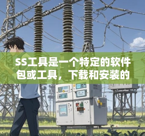 SS工具是一个特定的软件包或工具，下载和安装的具体步骤如下