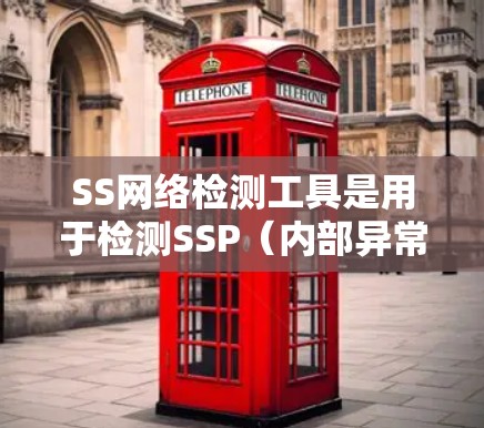 SS网络检测工具是用于检测SSP（内部异常请求）和SSR（反应用响应）的工具，帮助发现和修复网络中的内部异常。以下是对这些工具的详细总结
