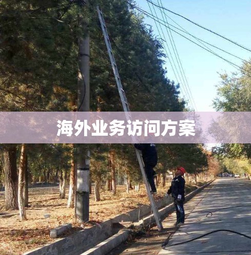 海外业务访问方案