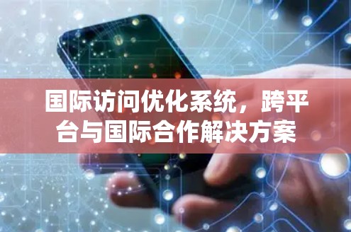 国际访问优化系统，跨平台与国际合作解决方案