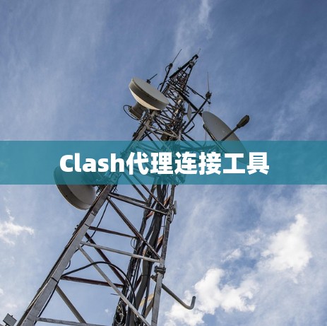 Clash代理连接工具