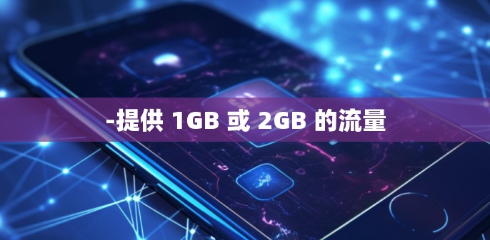 -提供 1GB 或 2GB 的流量