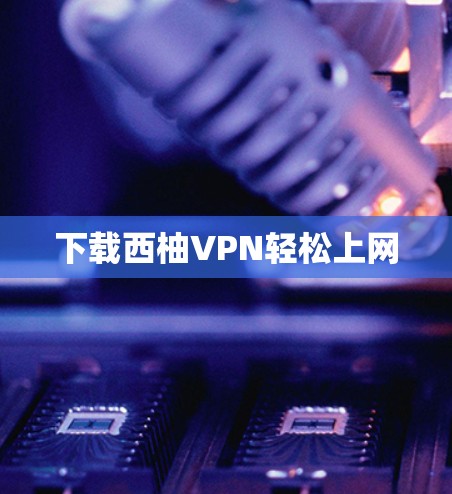 下载西柚VPN轻松上网
