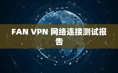 FAN VPN 网络连接测试报告