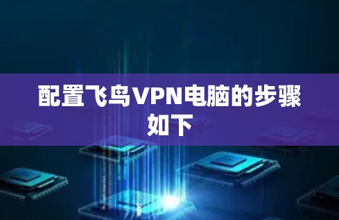 配置飞鸟VPN电脑的步骤如下