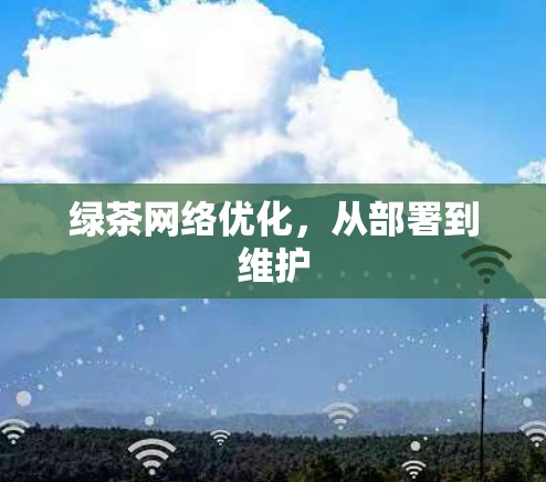 绿茶网络优化，从部署到维护