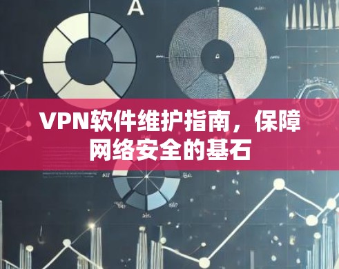 VPN软件维护指南，保障网络安全的基石