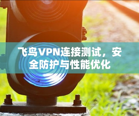 飞鸟VPN连接测试，安全防护与性能优化