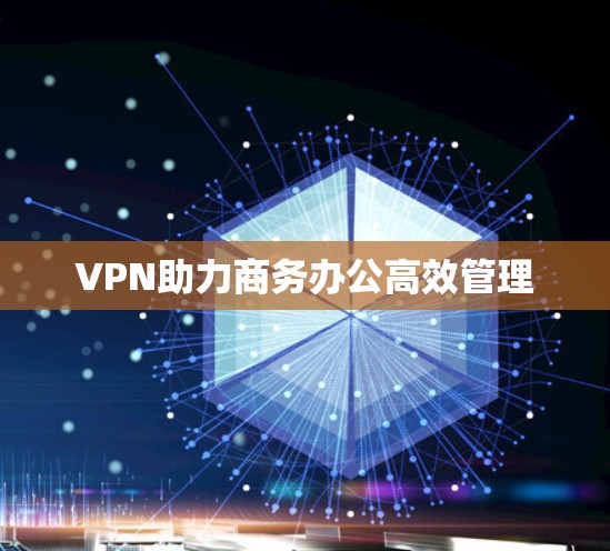 VPN助力商务办公高效管理