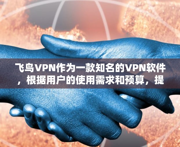 飞鸟VPN作为一款知名的VPN软件，根据用户的使用需求和预算，提供多种版本选项。以下是关于飞鸟VPN版本说明的详细内容