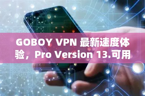GOBOY VPN 最新速度体验，Pro Version 13.可用性测试
