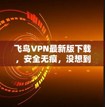 飞鸟VPN最新版下载，安全无痕，没想到居然如此简单！