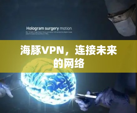 海豚VPN，连接未来的网络