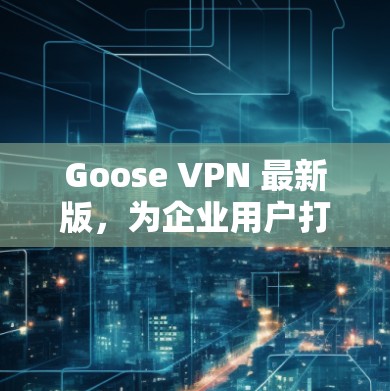 Goose VPN 最新版，为企业用户打造高效、安全的网络保护