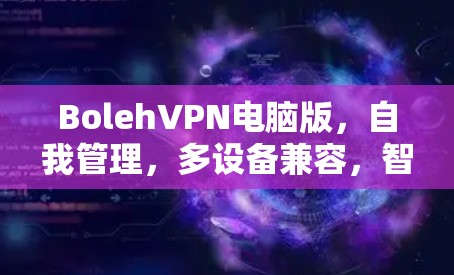 BolehVPN电脑版，自我管理，多设备兼容，智能管理