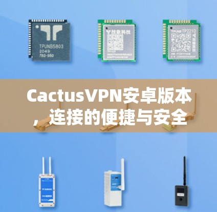 CactusVPN安卓版本，连接的便捷与安全