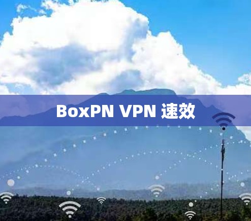 BoxPN VPN 速效