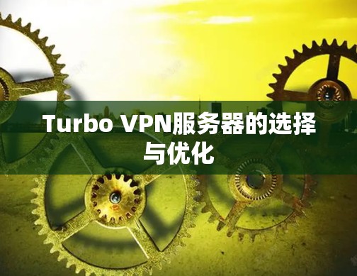 Turbo VPN服务器的选择与优化