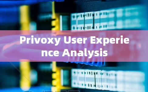 Privoxy User Experience Analysis