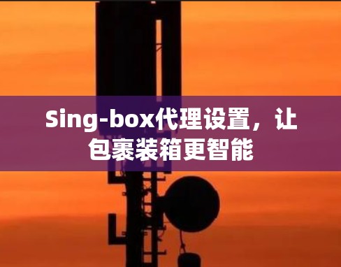 Sing-box代理设置，让包裹装箱更智能