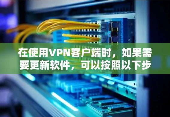 在使用VPN客户端时，如果需要更新软件，可以按照以下步骤进行操作