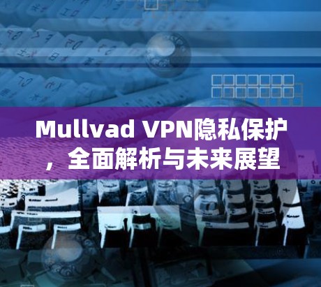 Mullvad VPN隐私保护，全面解析与未来展望