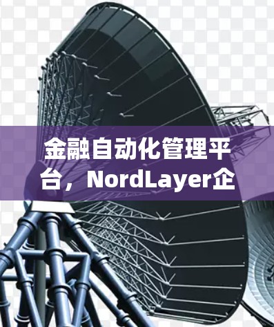 金融自动化管理平台，NordLayer企业版的未来解决方案