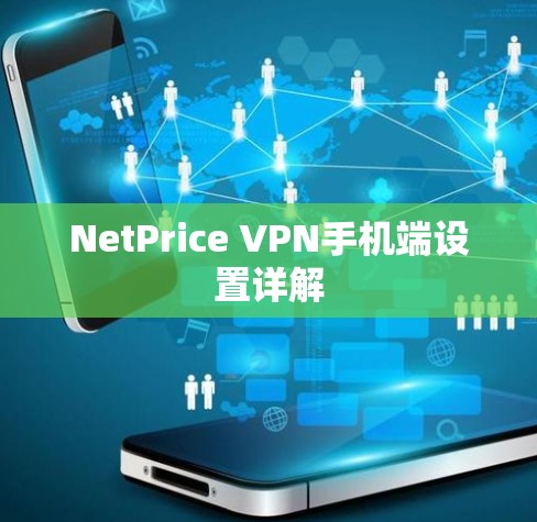 NetPrice VPN手机端设置详解