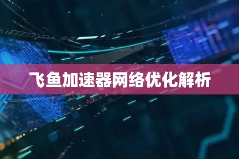 飞鱼加速器网络优化解析
