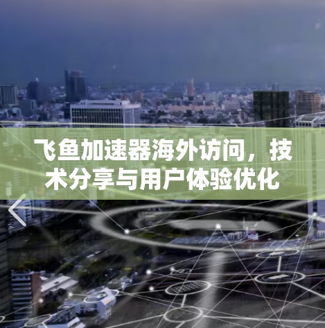 飞鱼加速器海外访问，技术分享与用户体验优化