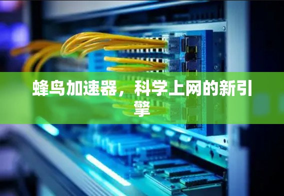蜂鸟加速器，科学上网的新引擎