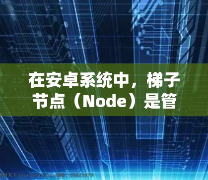 在安卓系统中，梯子节点（Node）是管理类目关系和权限分配的重要工具。以下是对优先选择的梯子节点的详细分析