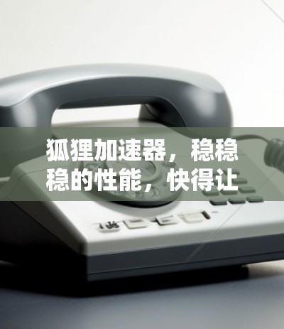 狐狸加速器，稳稳稳的性能，快得让人惊叹！