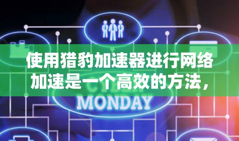 使用猎豹加速器进行网络加速是一个高效的方法，尤其适用于连接速度较慢的网络环境。以下是使用猎豹加速器进行网络加速的步骤和技巧