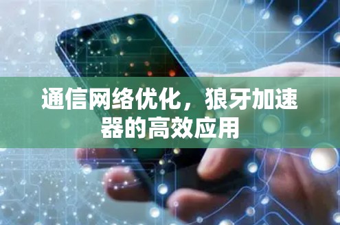 通信网络优化，狼牙加速器的高效应用