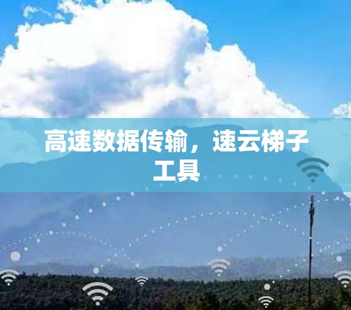 高速数据传输，速云梯子工具