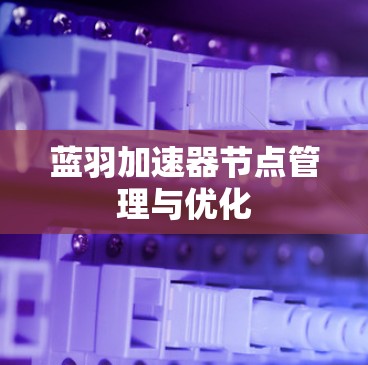 蓝羽加速器节点管理与优化