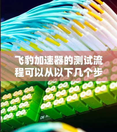 飞豹加速器的测试流程可以从以下几个步骤进行