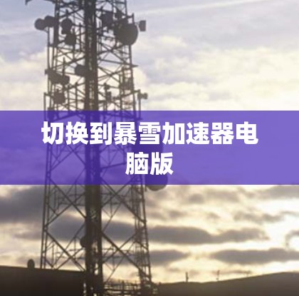 切换到暴雪加速器电脑版