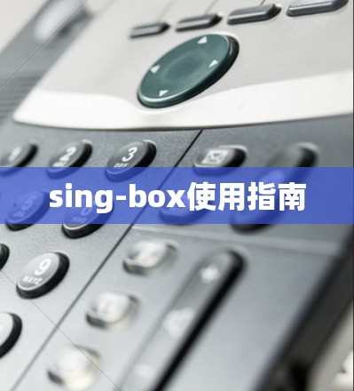 sing-box使用指南