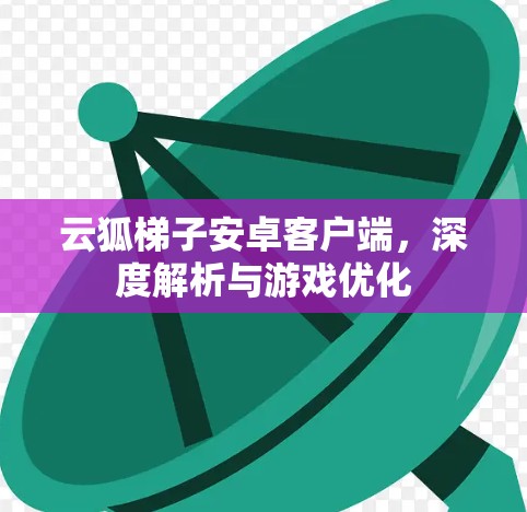 云狐梯子安卓客户端，深度解析与游戏优化
