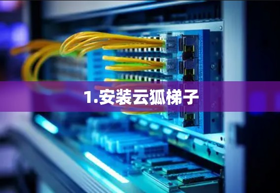 1.安装云狐梯子