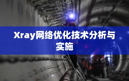 Xray网络优化技术分析与实施