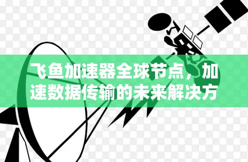 飞鱼加速器全球节点，加速数据传输的未来解决方案